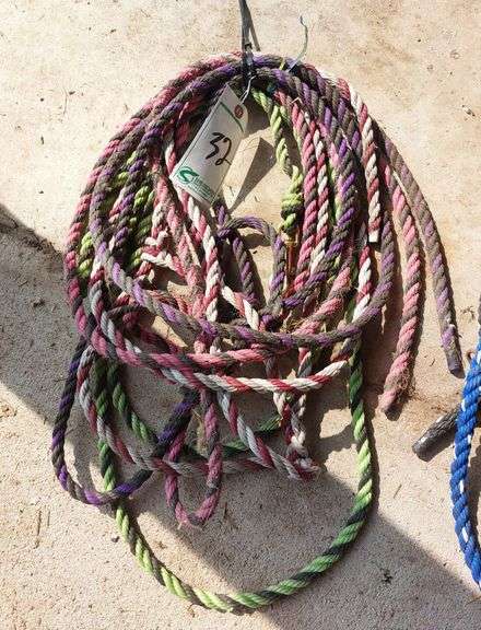Poly Rope Halters
