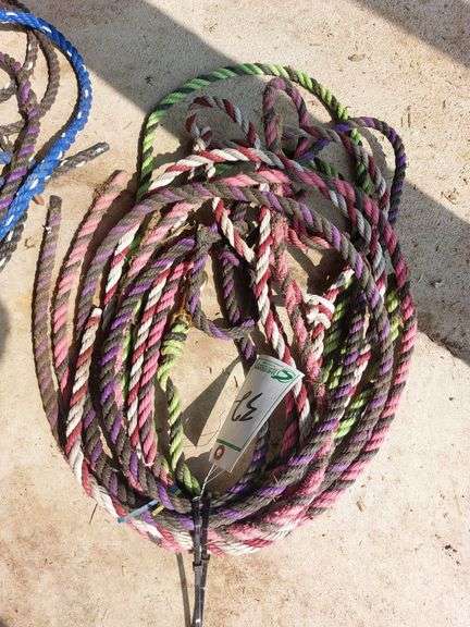 Poly Rope Halters