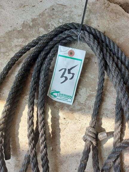 Poly Rope Halters