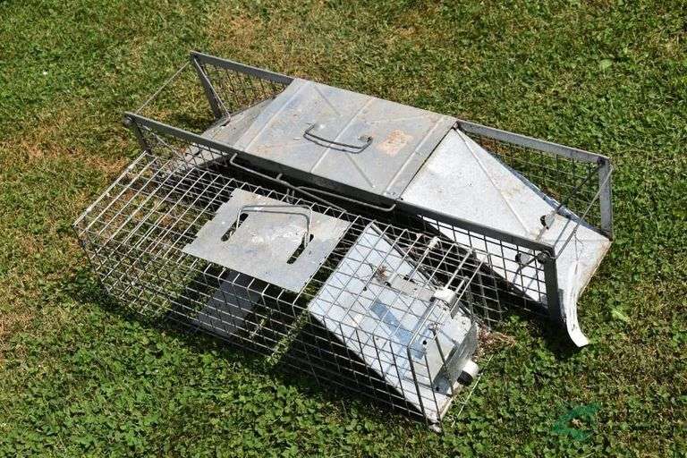 (2) Live Traps