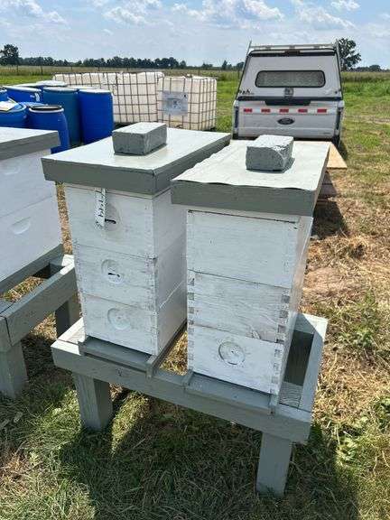 (6) Starter Beehives, row:9 image