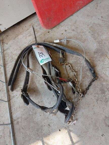 Leather Show Halters