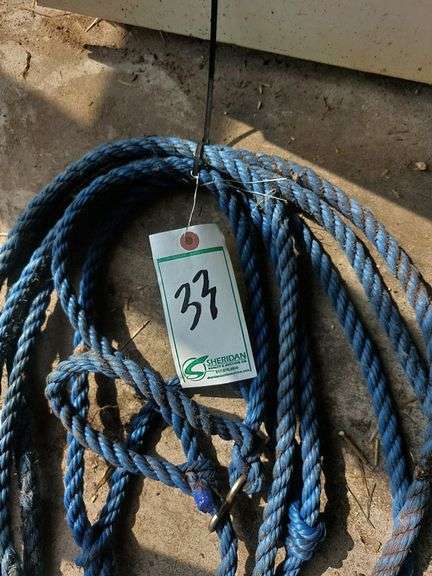 Poly Rope Halters