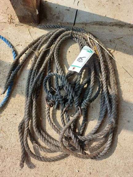 Poly Rope Halters