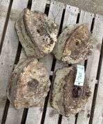 Allis Chalmers Wheel Weights