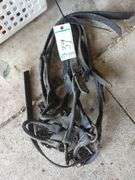 Leather Show Halters