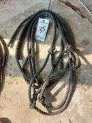 Poly Rope Halters