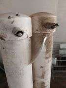 (2) PVC Pig Waterers