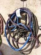 Poly Rope Halters