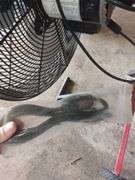 Sullivan Supply Turbo Livestock Fan on Wheeled  Cart