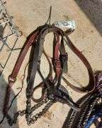 Leather Show Halters