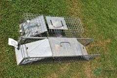 (2) Live Traps
