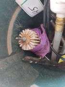 Bucket Heater, Flat-Back Bucket, Sullivans Water Purifier, Grooming Tools