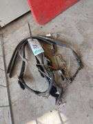Leather Show Halters