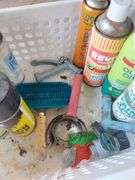Livestock Show & Grooming Supplies in Crate