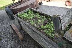Flower Wagon