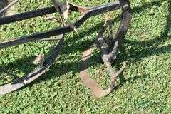 Hand Cultivator
