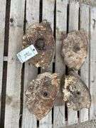 Allis Chalmers Wheel Weights