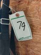 (2) Show Number Harnesses