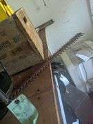 Green hedge trimmer
