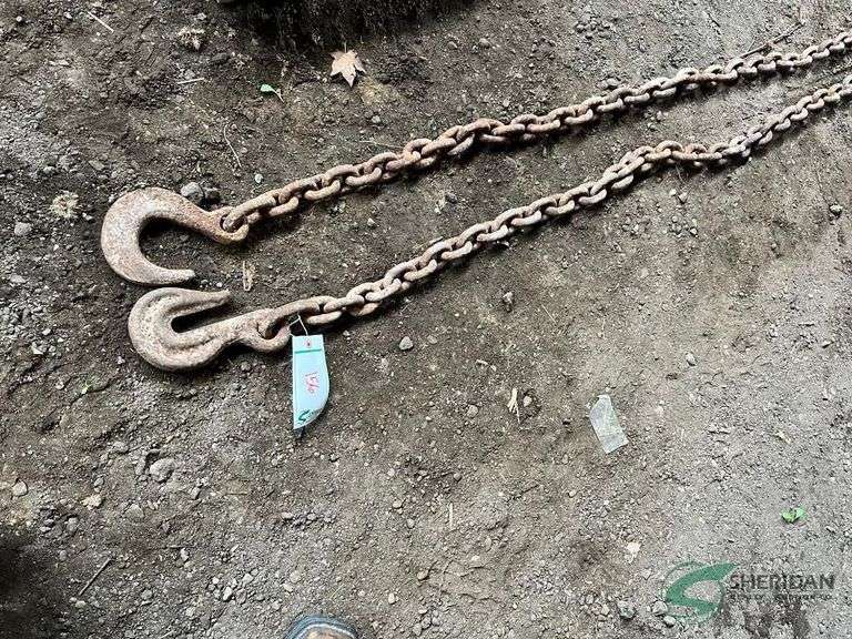 Large tow chain with hooks image