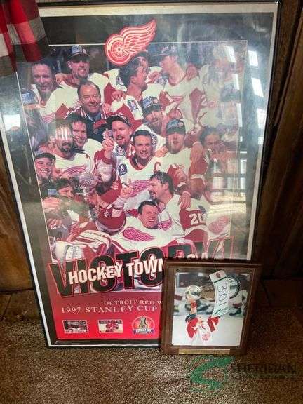 (2) Redwing pictures image