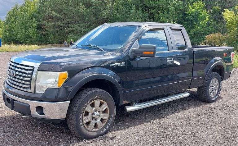 2010 FORD F-150 image