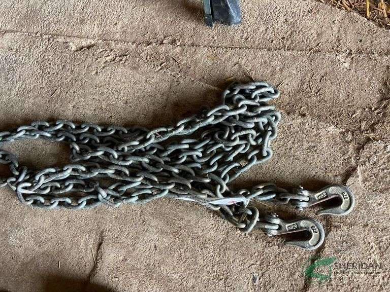 20ft 5/16 chain with 2 hooks image