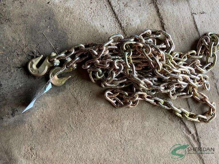 20ft 5/16 chain with 2 hooks image