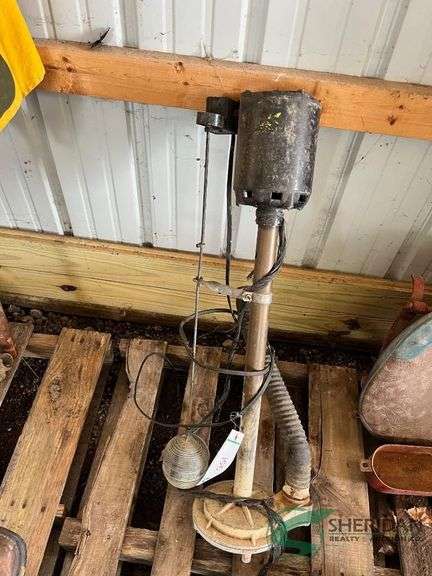 Vertical sump pump image