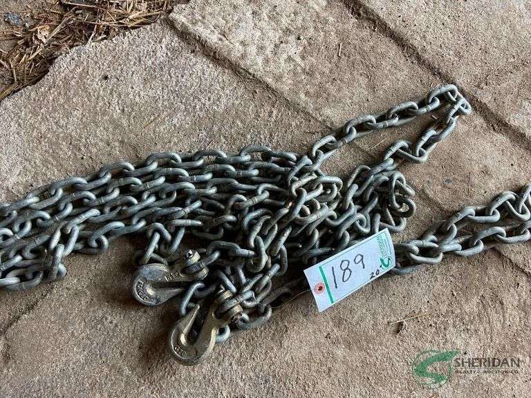 20ft 5/16 chain with 2 hooks image