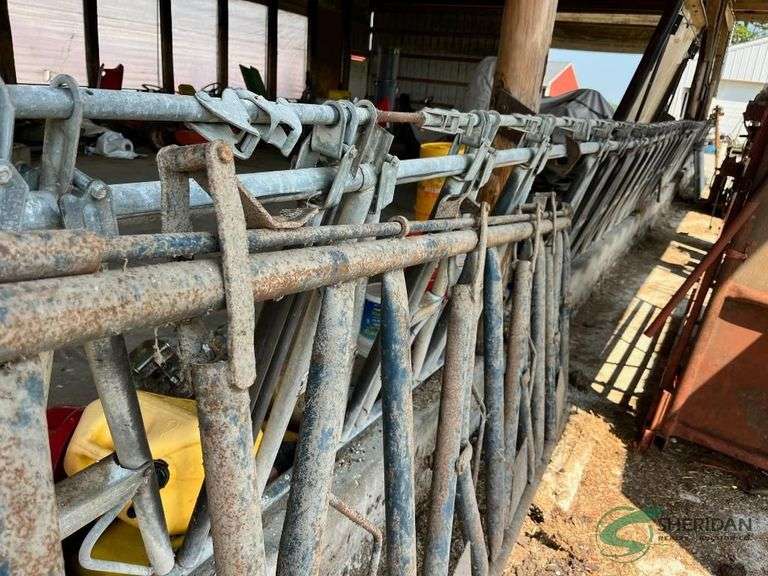 Locking Head Gates image