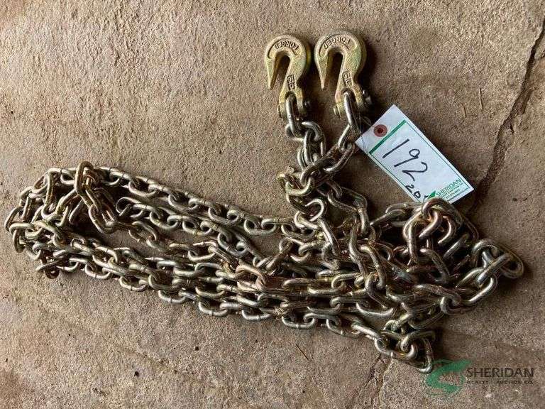 20ft 5/16 chain with 2 hooks image