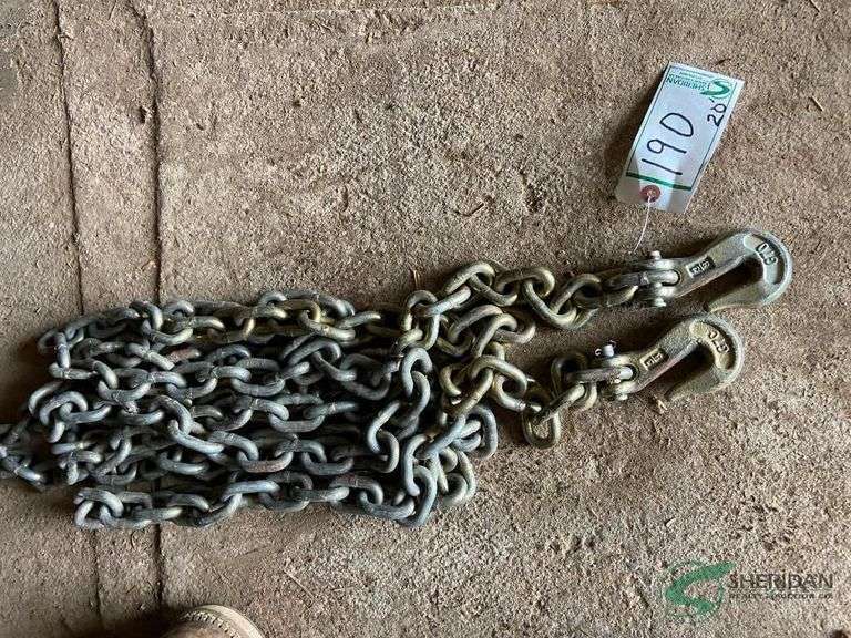 20ft  3/8 chain with 2 hooks image