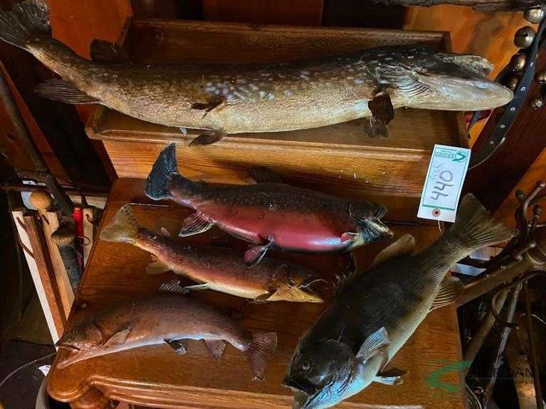 Mounted fish image