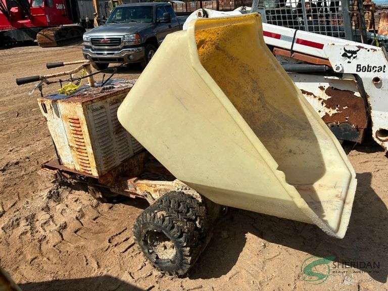 Concrete Buggy image