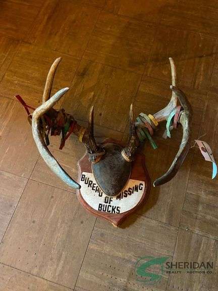 Antlers with numerous vintage hunting tags image