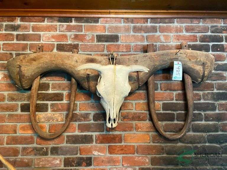 Oxen Yoke with Bull skull image