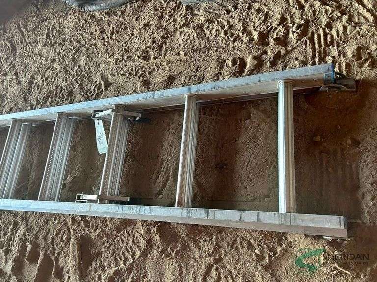 30ft Extension ladder image