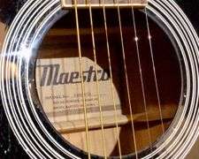 Maestro SA41BKCH Guitar and Case