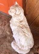 Large Cat Statue