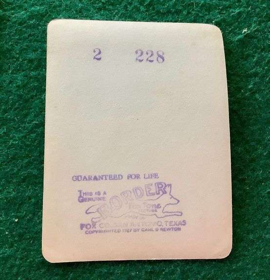 Vintage Photograph Collection