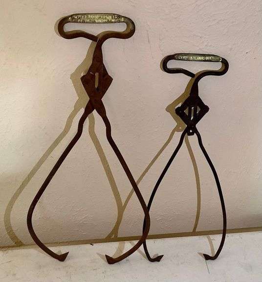 2 Ice Tongs