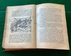 Antique Book - Story of the Wild West - c.1888