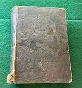 Antique Book - Story of the Wild West - c.1888