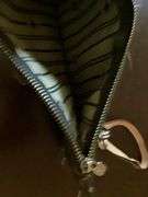 Louis Vitton Purse