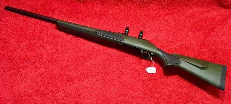 Remington Model 700 - 204 Ruger