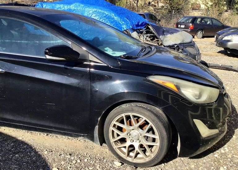 2014 Hyundai Elantra image