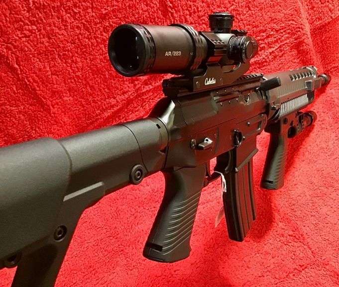 Sig Sauer 5.56