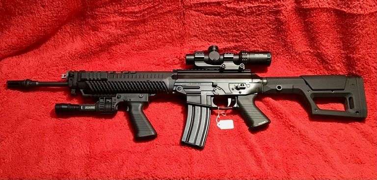 Sig Sauer 5.56